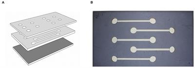 Altered Mobility and Accumulation of Inefficient Workers in Juvenile Hybrid Termite Colonies